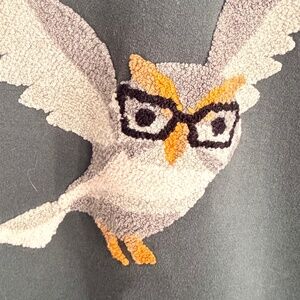 Bonobos, Wise Owl Embroidered Sweatshirt, Men’s XXL